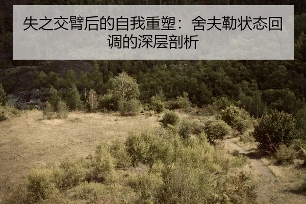 shi-zhi-jiao-bi-hou-de-zi-wo-zhong-su-she-fu-lei-zhuang-tai-hui-diao-de-shen-ceng-pou-xi-2-904.jpg