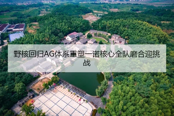 野核回归AG体系重塑一诺核心全队磨合迎挑战（Leyu）