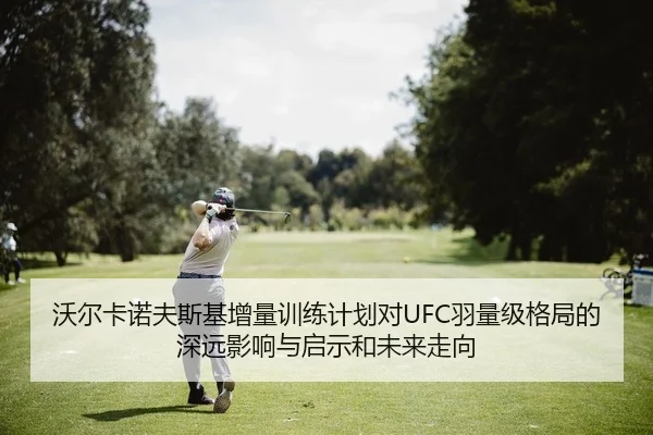 沃尔卡诺夫斯基增量训练计划对UFC羽量级格局的深远影响与启示和未来走向